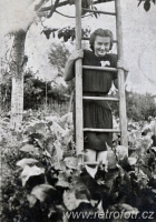 Dívka pózuje na žebříku